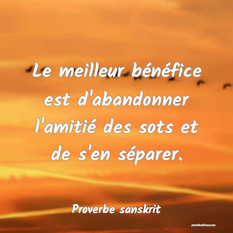 Le meilleur bénéfice est d'abandonner l'amitié des sots et de s'en séparer.