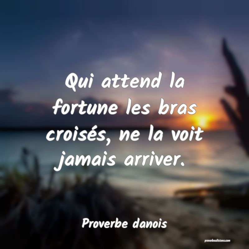 Qui attend la fortune les bras croisés, ne la voit jamais arriver.