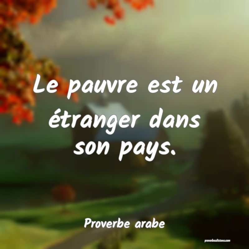 Le pauvre est un étranger dans son pays.