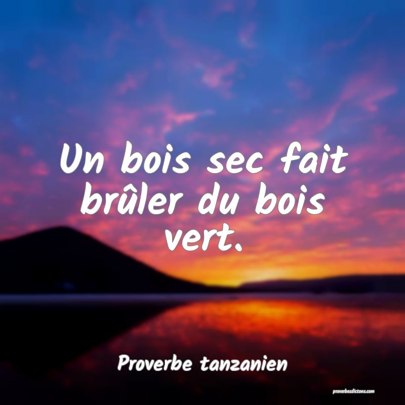 Un bois sec fait brûler du bois vert.