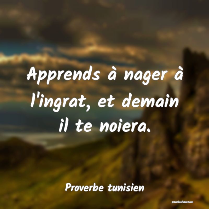 Apprends à nager à l'ingrat, et demain il te noiera.