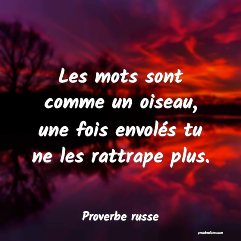 Les mots sont comme un oiseau, une fois envolés tu ne les rattrape plus.