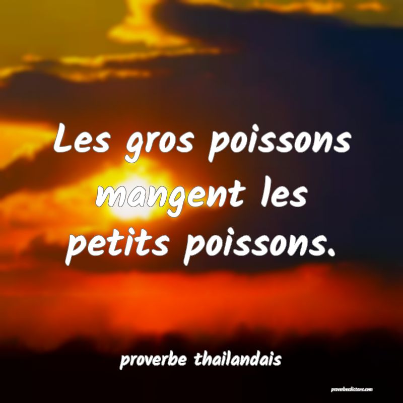  Les gros poissons mangent les petits poissons.