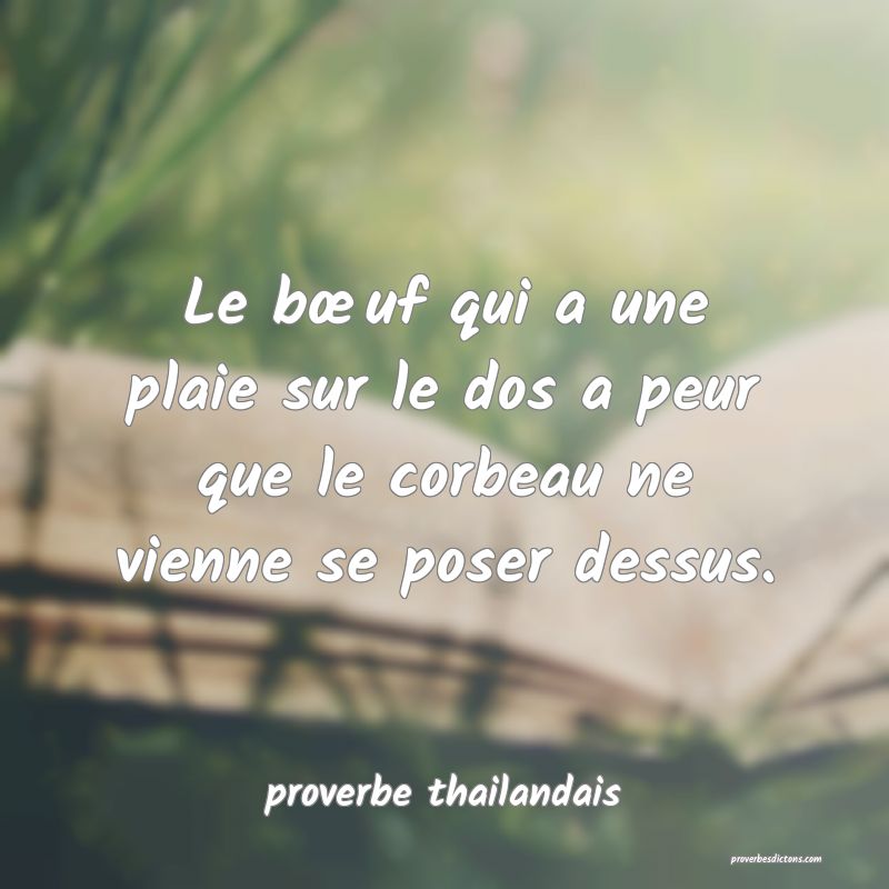 Le bœuf qui a une plaie sur le dos a peur que le corbeau ne vienne se poser dessus.