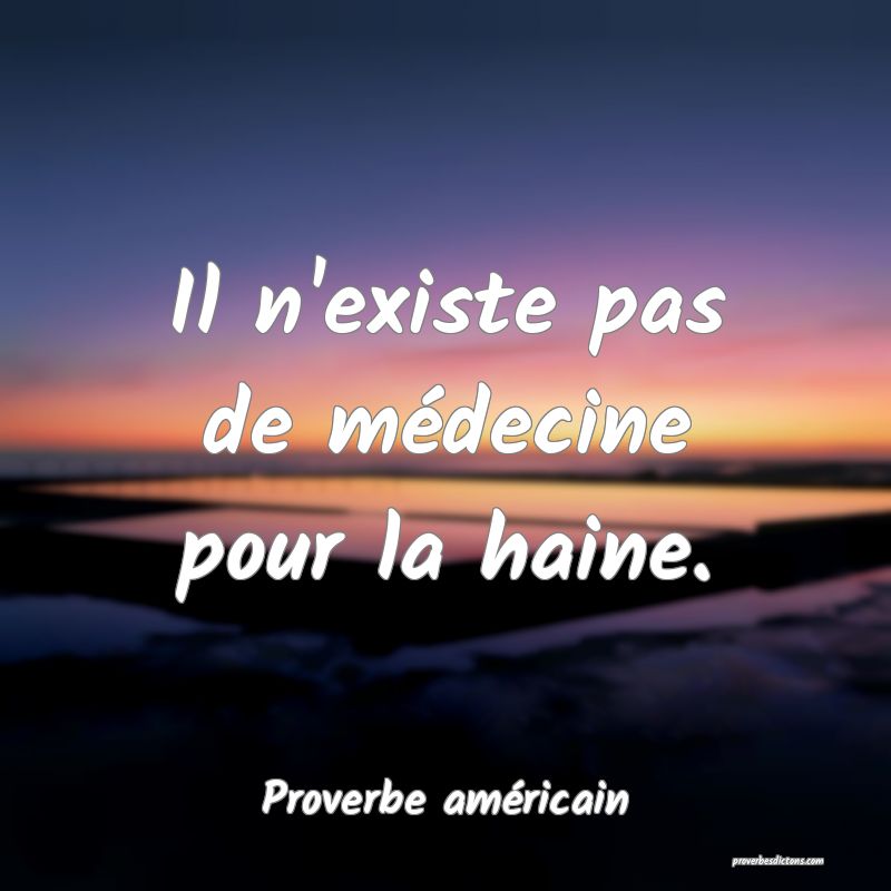 Il n'existe pas de médecine pour la haine.