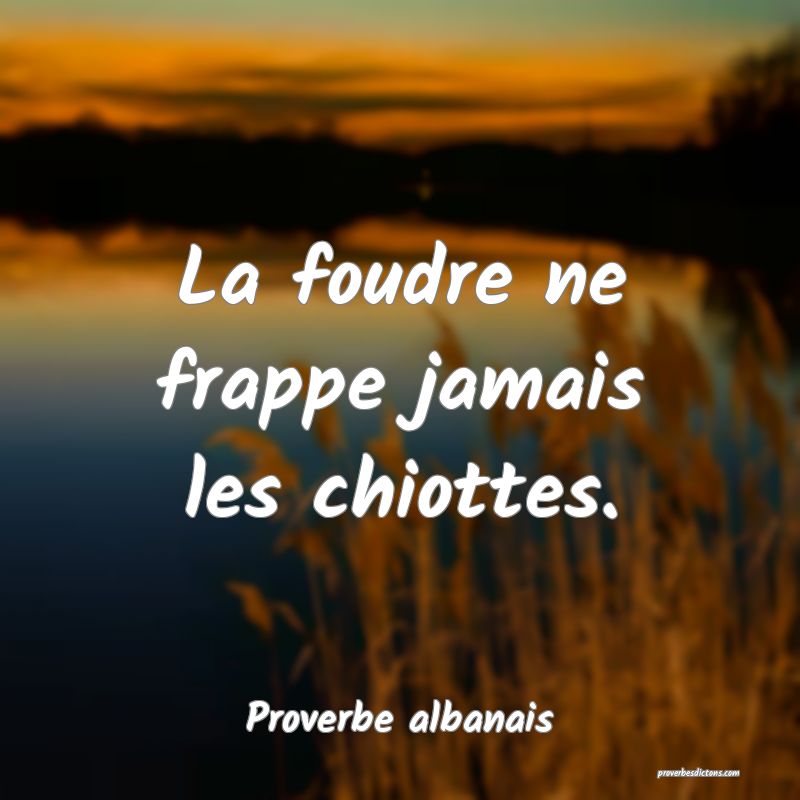 La foudre ne frappe jamais les chiottes.
