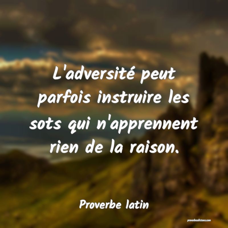L'adversité peut parfois instruire les sots qui n'apprennent rien de la raison.