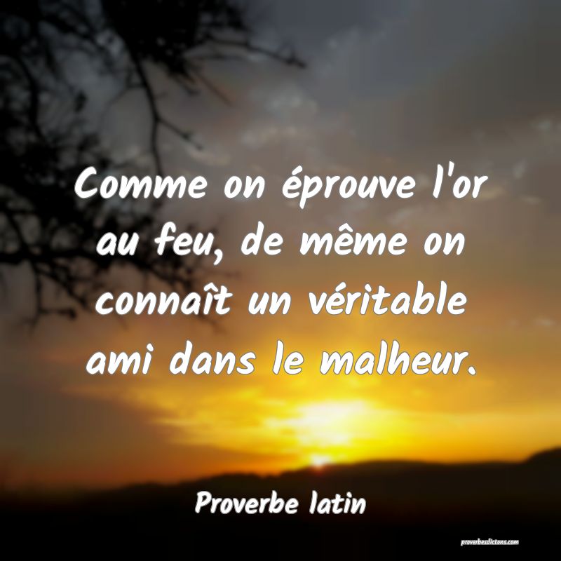 Comme on éprouve l'or au feu, de même on connaît un véritable ami dans le malheur.