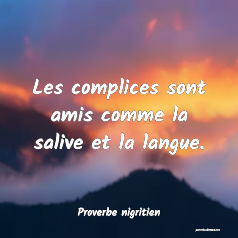 Les complices sont amis comme la salive et la langue.