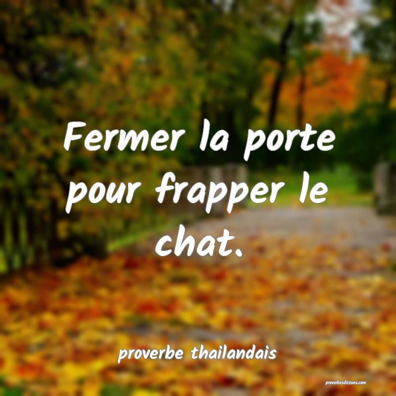  Fermer la porte pour frapper le chat.
