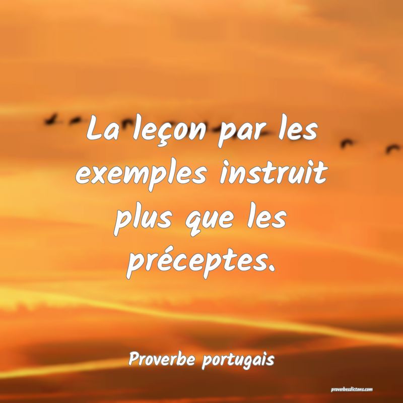 La leçon par les exemples instruit plus que les préceptes.