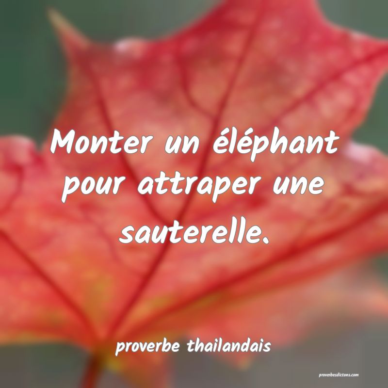  Monter un éléphant pour attraper une sauterelle.