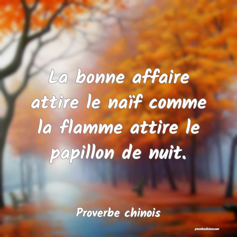 La bonne affaire attire le naïf comme la flamme attire le papillon de nuit.