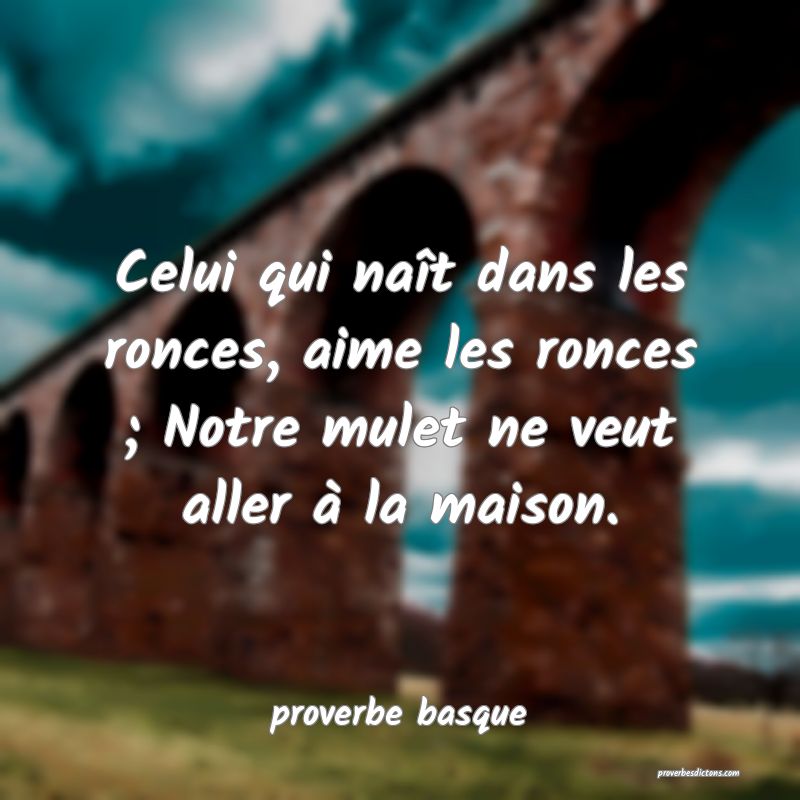  Celui qui naît dans les ronces, aime les ronces ; Notre mulet ne veut aller à la maison.