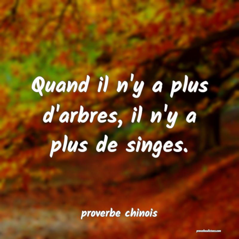 Quand il n'y a plus d'arbres, il n'y a plus de singes.