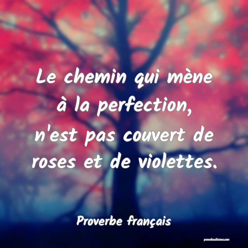 Le chemin qui mène à la perfection, n'est pas couvert de roses et de violettes.