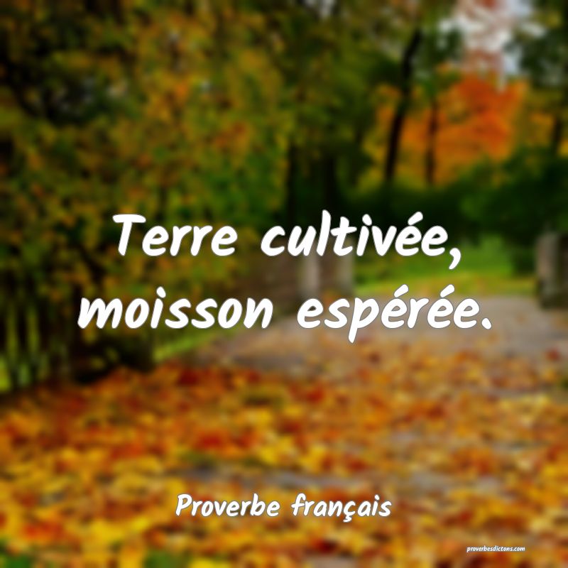 Terre cultivée, moisson espérée.