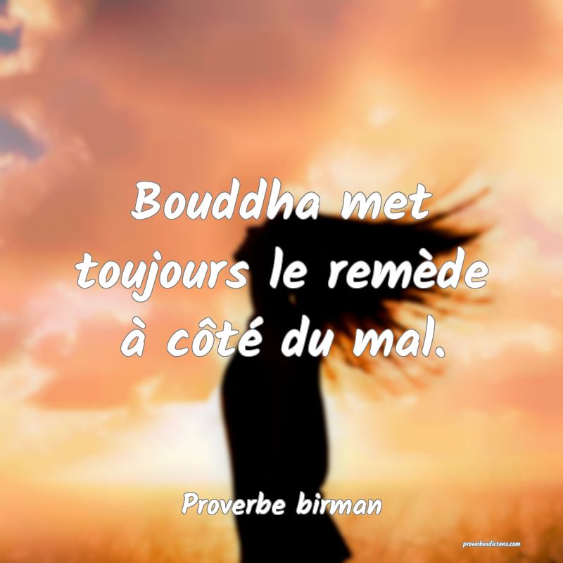 Bouddha met toujours le remède à côté du mal.