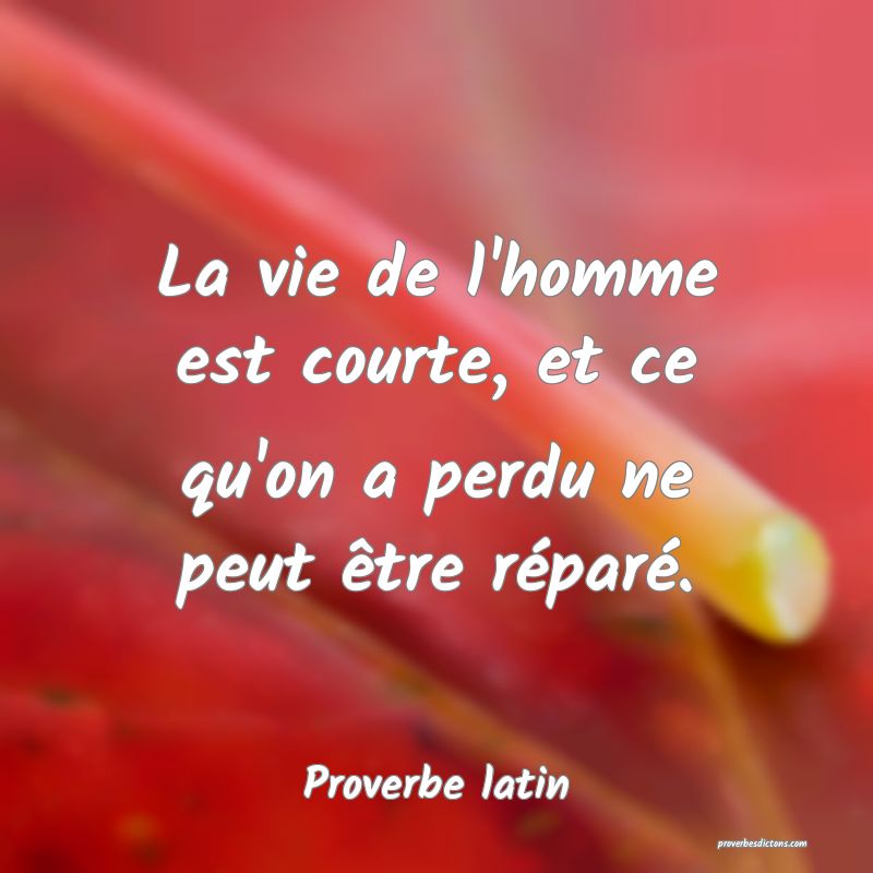 La vie de l'homme est courte, et ce qu'on a perdu ne peut être réparé.