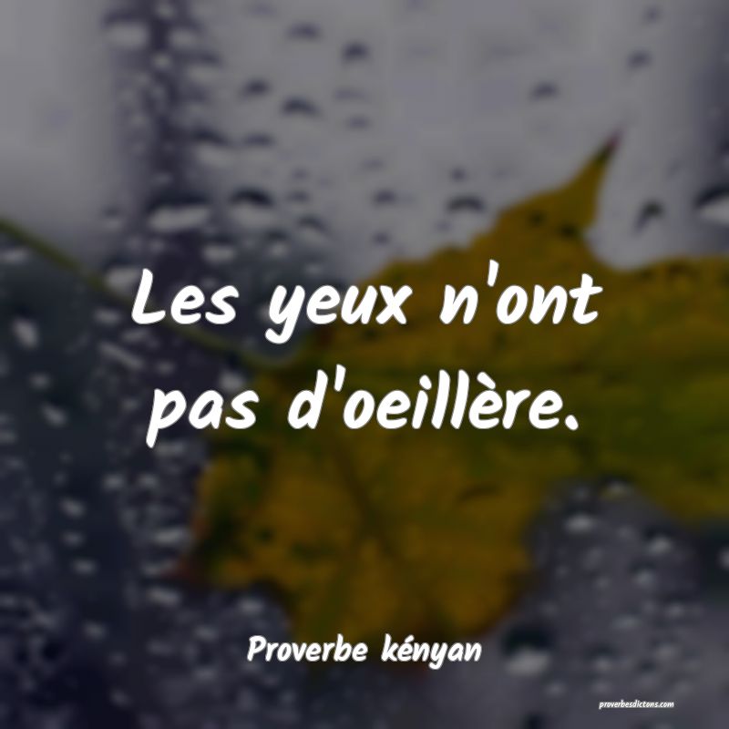 Les yeux n'ont pas d'oeillère.