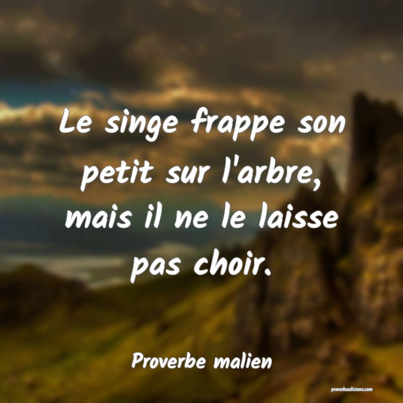 Le singe frappe son petit sur l'arbre, mais il ne le laisse pas choir.