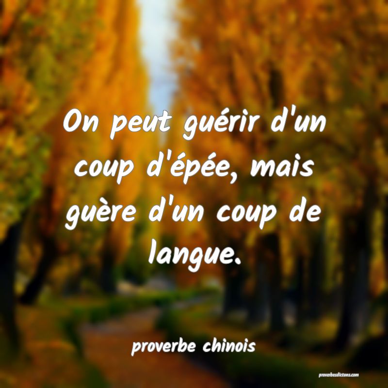  On peut guérir d'un coup d'épée, mais guère d'un coup de langue.