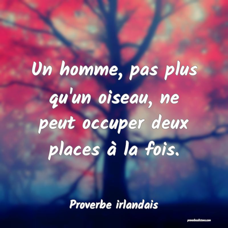 Un homme, pas plus qu'un oiseau, ne peut occuper deux places à la fois.