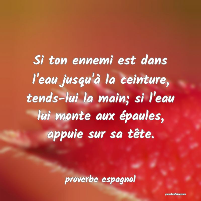  Si ton ennemi est dans l'eau jusqu'à la ceinture, tends-lui la main; si l'eau lui monte aux épaules, appuie sur sa tête.