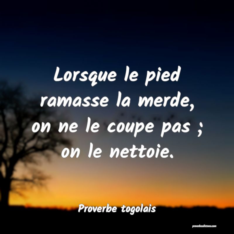 Lorsque le pied ramasse la merde, on ne le coupe pas ; on le nettoie.