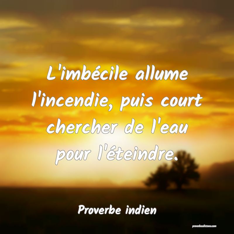 L'imbécile allume l'incendie, puis court chercher de l'eau pour l'éteindre.