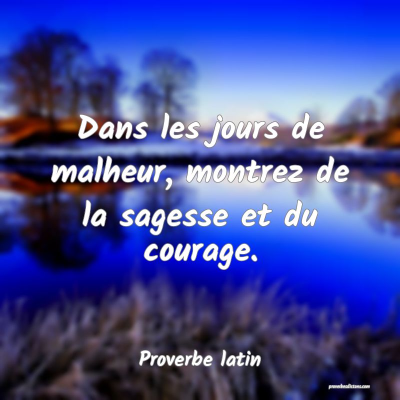 Dans les jours de malheur, montrez de la sagesse et du courage.