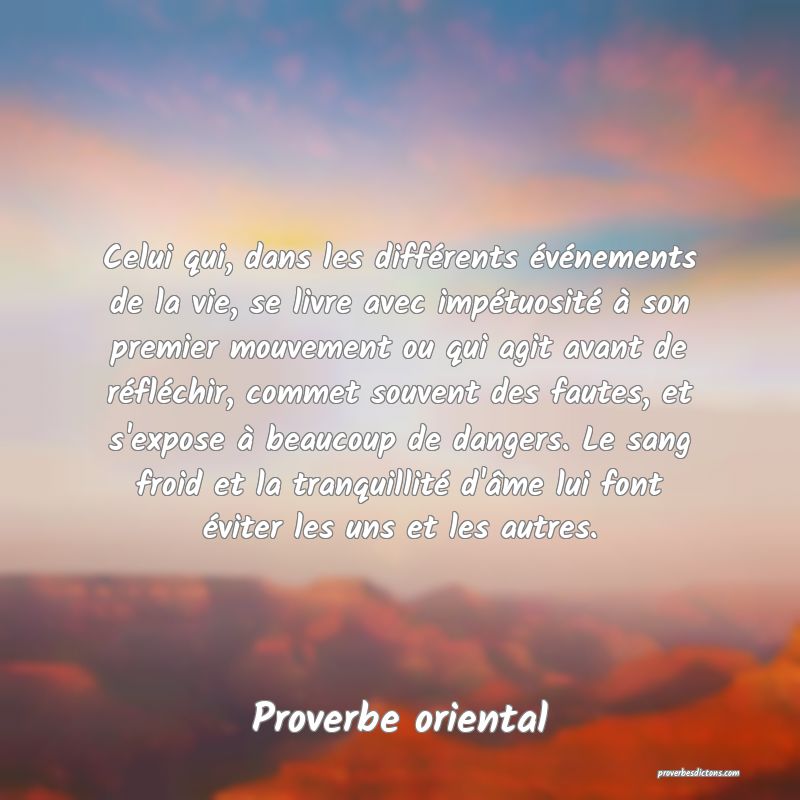 Celui qui, dans les différents événements de la vie, se livre avec impétuosité à son premier mouvement ou qui agit avant de réfléchir, commet souvent des fautes, et s'expose à beaucoup de dangers. Le sang froid et la tranquillité d'âme lui font éviter les uns et les autres.