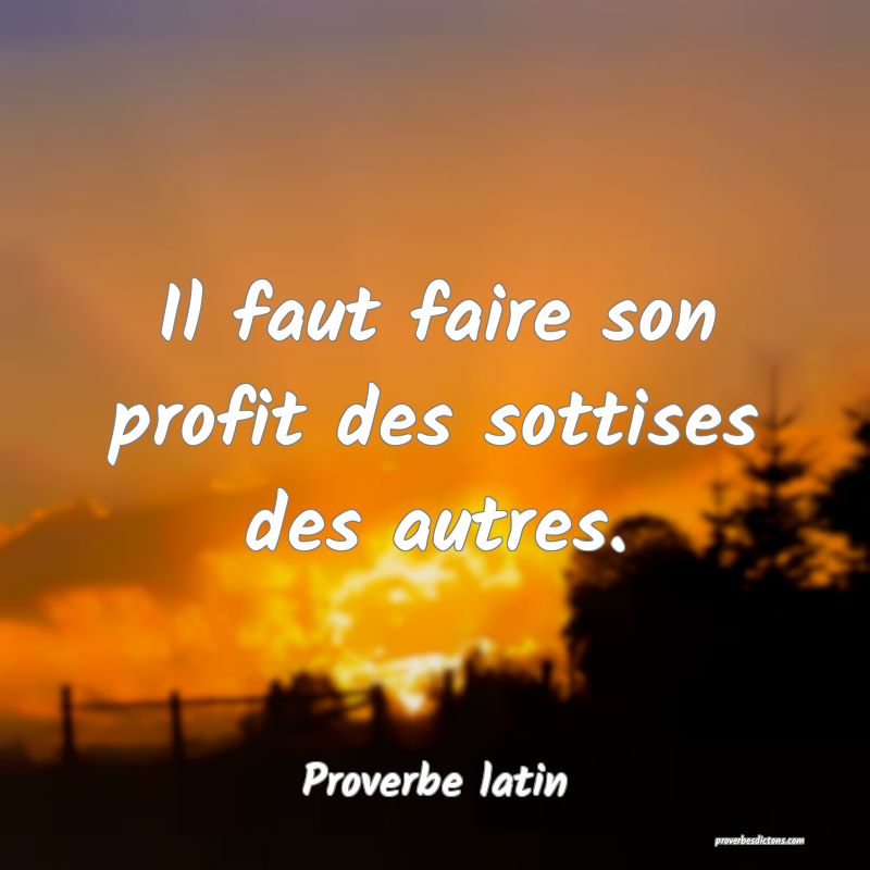 Il faut faire son profit des sottises des autres.