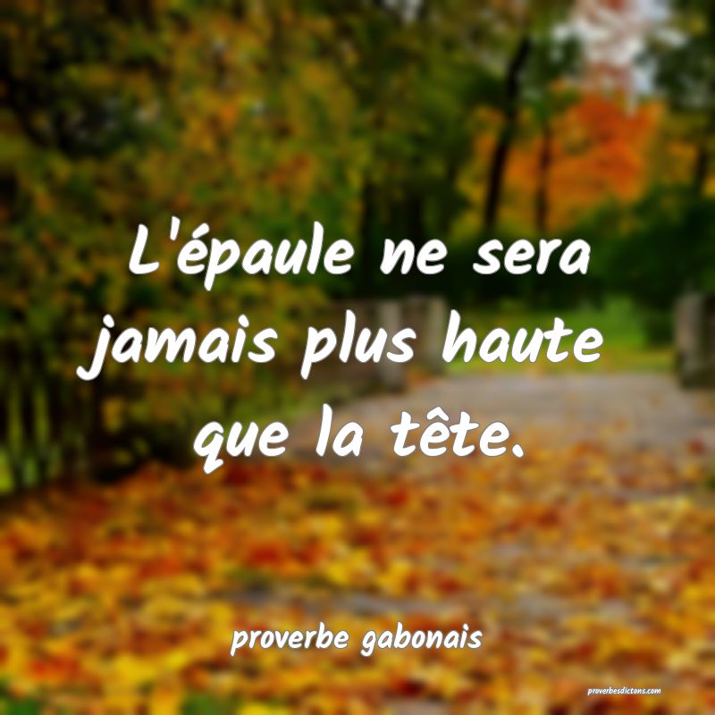  L'épaule ne sera jamais plus haute que la tête.