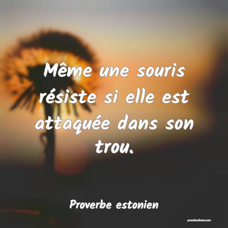 Même une souris résiste si elle est attaquée dans son trou.