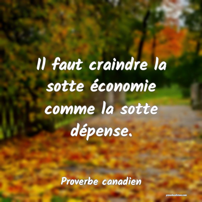 Il faut craindre la sotte économie comme la sotte dépense.