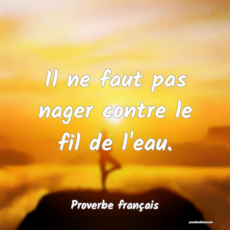 Il ne faut pas nager contre le fil de l'eau.
