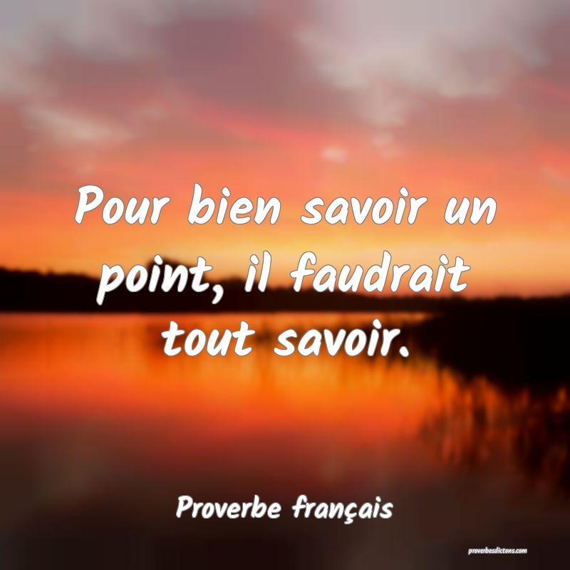 Pour bien savoir un point, il faudrait tout savoir.