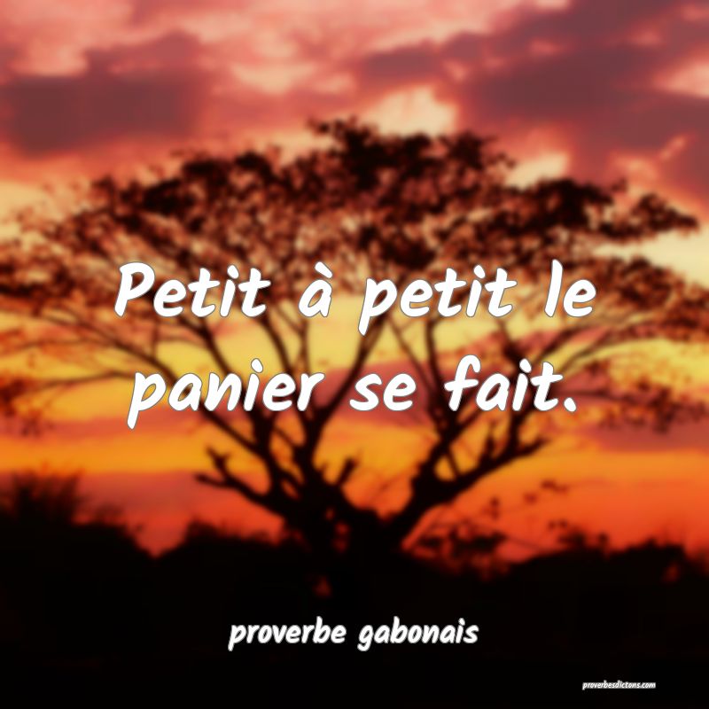 Petit à petit le panier se fait.