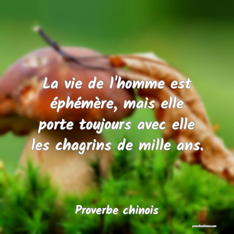 La vie de l'homme est éphémère, mais elle porte toujours avec elle les chagrins de mille ans.