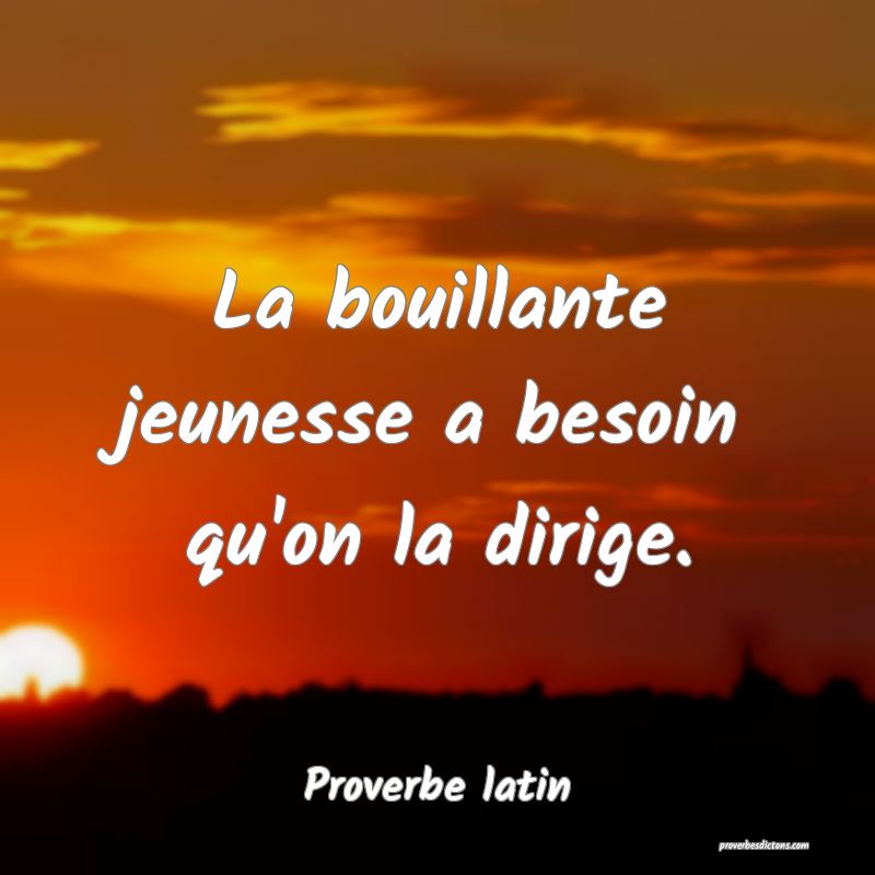 La bouillante jeunesse a besoin qu'on la dirige.