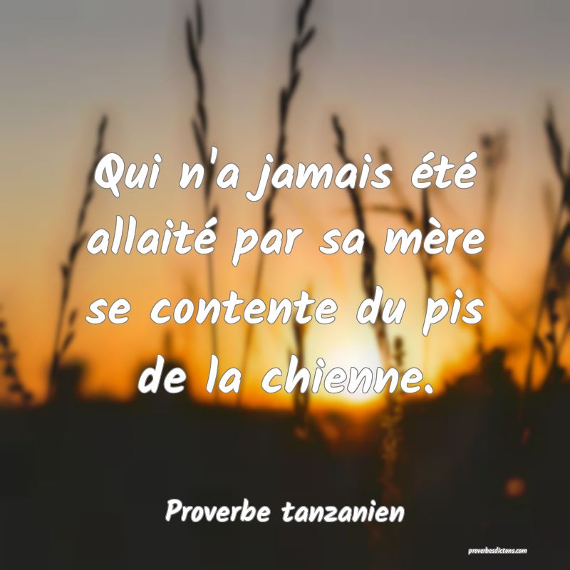 Qui n'a jamais été allaité par sa mère se contente du pis de la chienne.