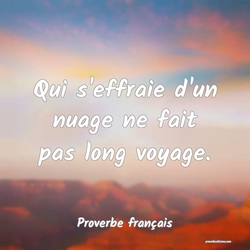 Qui s'effraie d'un nuage ne fait pas long voyage.