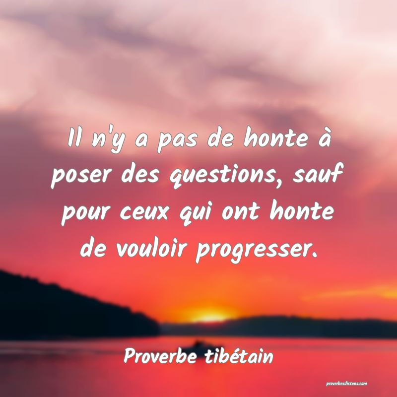 Il n'y a pas de honte à poser des questions, sauf pour ceux qui ont honte de vouloir progresser.