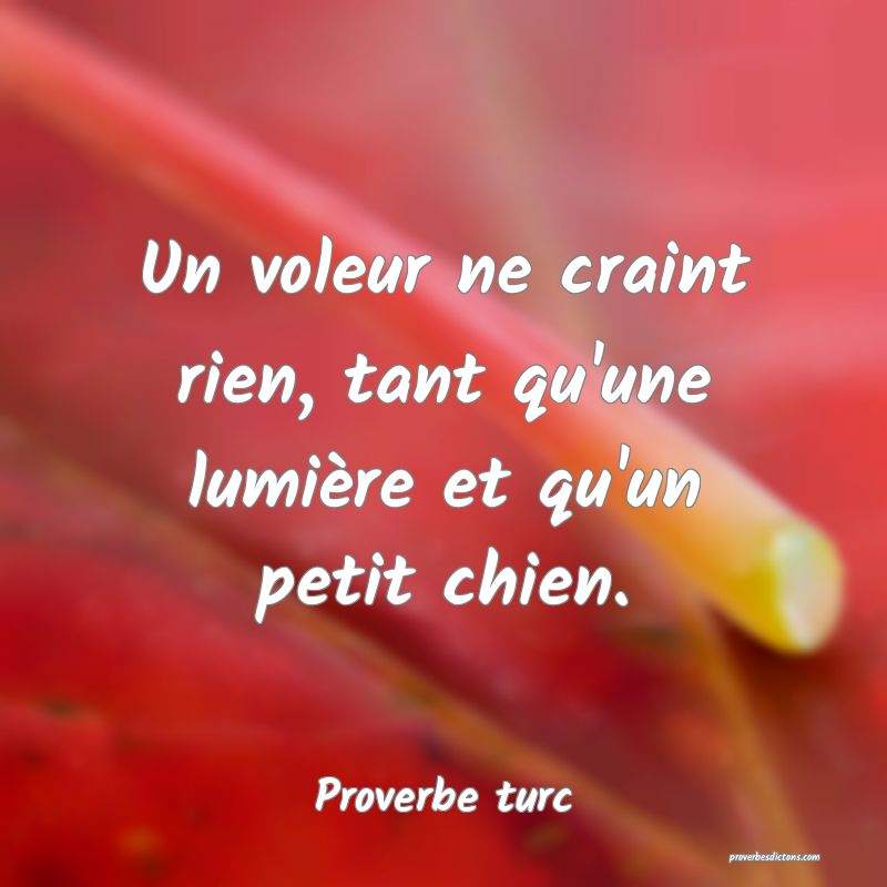 Un voleur ne craint rien, tant qu'une lumière et qu'un petit chien.
