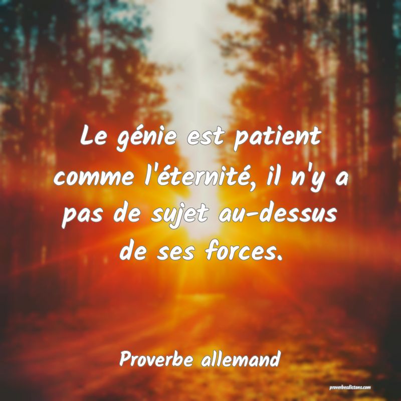 Le génie est patient comme l'éternité, il n'y a pas de sujet au-dessus de ses forces.