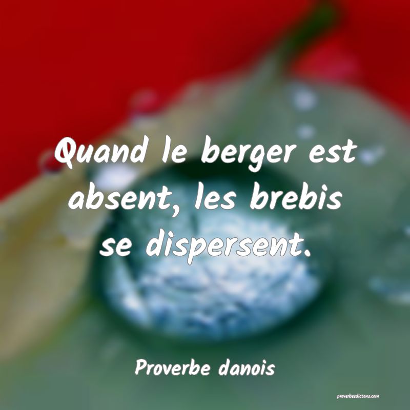 Quand le berger est absent, les brebis se dispersent.