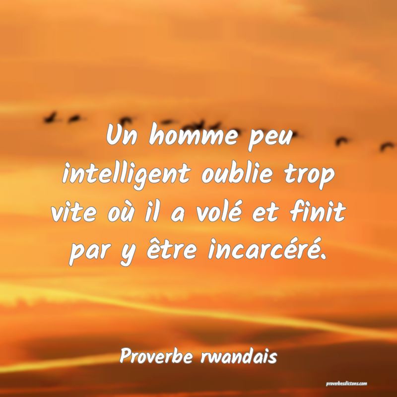 Un homme peu intelligent oublie trop vite où il a volé et finit par y être incarcéré.