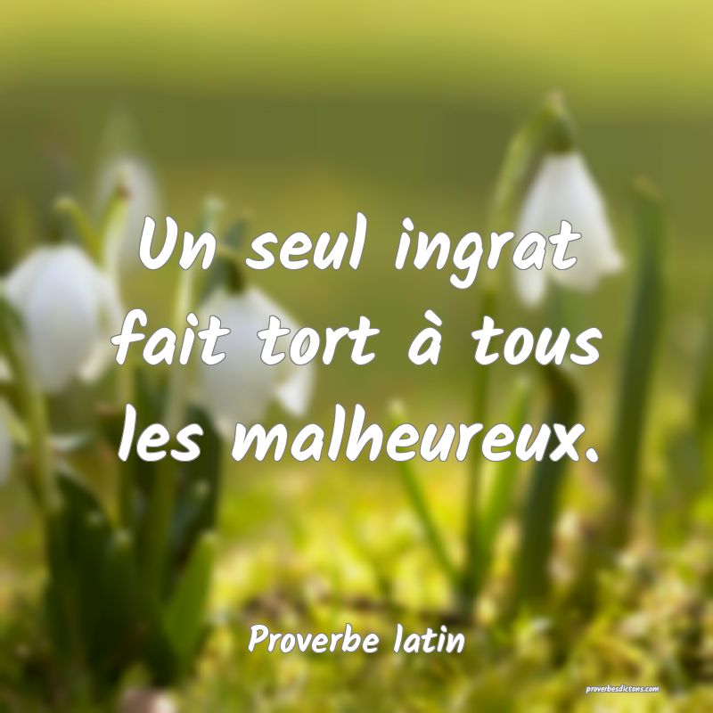 Un seul ingrat fait tort à tous les malheureux.