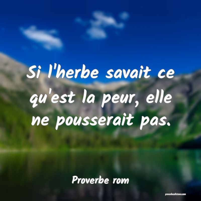 Si l'herbe savait ce qu'est la peur, elle ne pousserait pas.